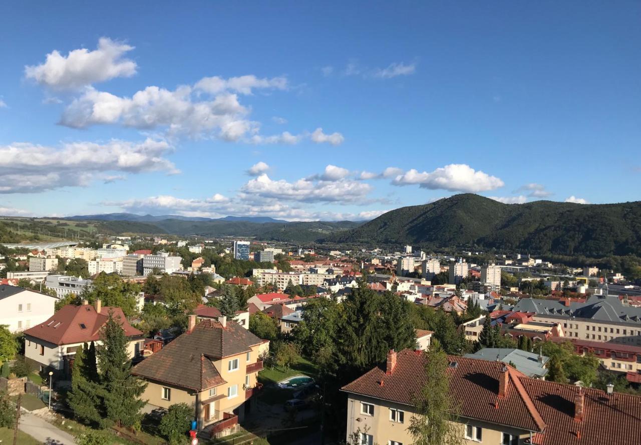 Bl City View Apartment, 24Hr Self Check-In, Free Private Parking, Panoramic View From Balcony, 5-Minute Walk To City Centre Банска бистрица Екстериор снимка